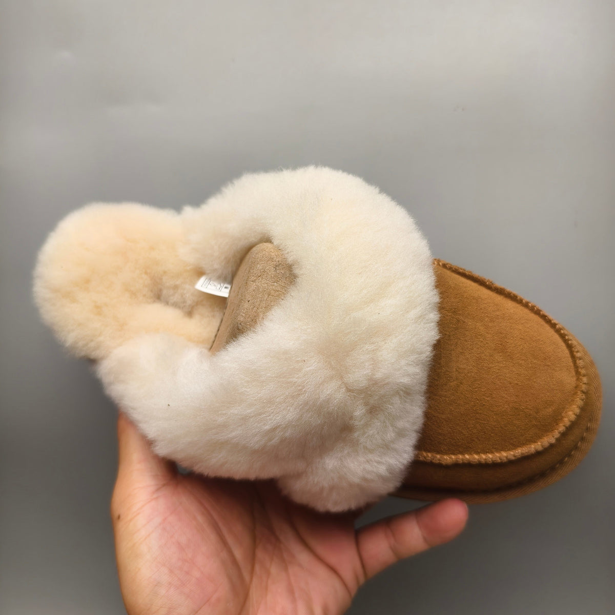 Chestnut Casual Indoor Slippers | 4571