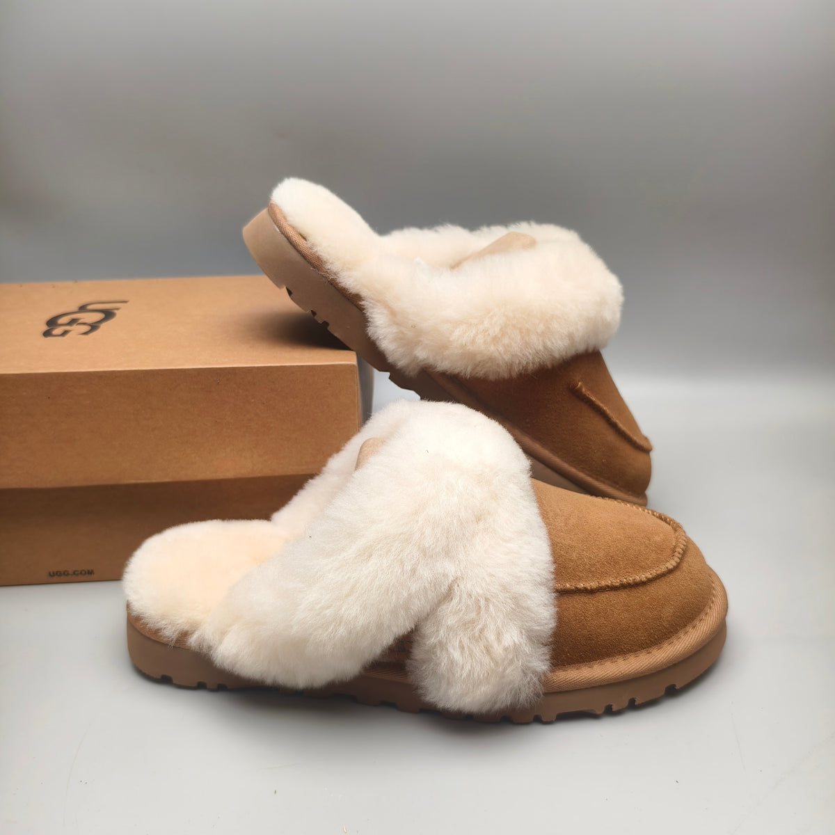 Chestnut Casual Indoor Slippers | 4571